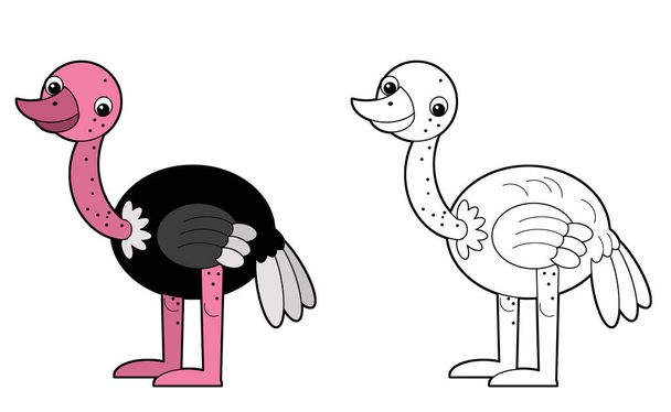 cartoon scene with happy ostrich bird on white background illustration for children - Foto, Bild