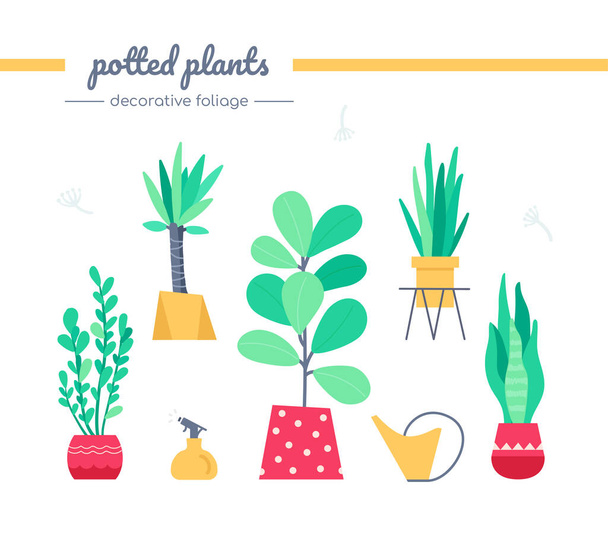 Decorative foliage collection - set of vector isolated elements - Vector, Image