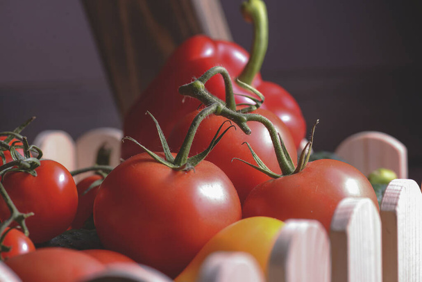 Fresh bio vegetable in a wooden box. Organic raw vegetables, tomatoes, cucumbers, sweet pepper. - Zdjęcie, obraz