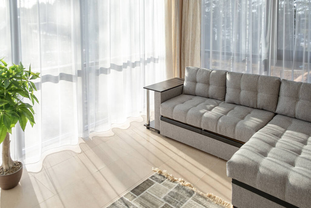 Modern interior with big sofa and a large windows. Morning sunlight from the windows- Image - Foto, immagini