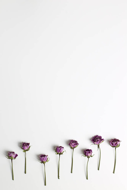 Purple dry rose flowers on white background. Floral composition, flat lay, top view, copy space - Фото, зображення