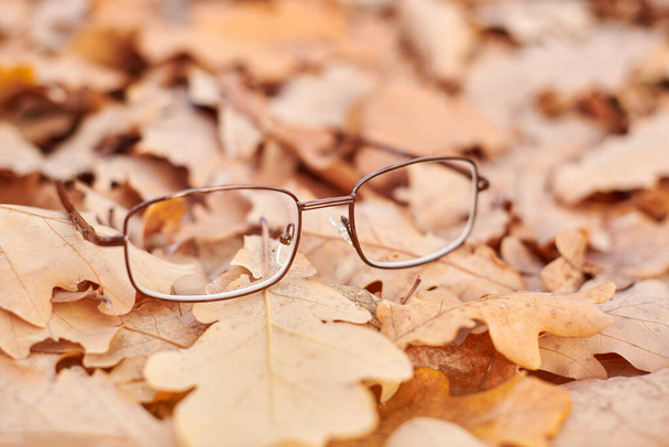 Óculos em folhagem de outono. Conceito de perda de visão de outono. Deficiência de vitamina com a idade
. - Foto, Imagem