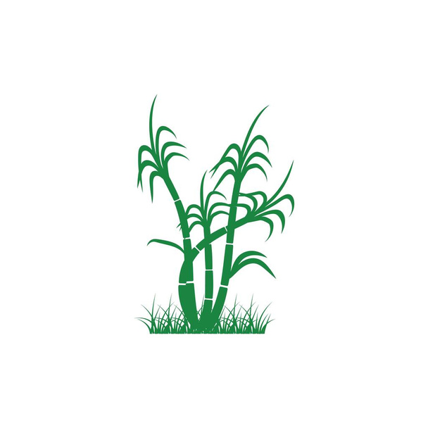 Icono de caña de azúcar Vector Diseño de ilustración Logo plantilla - Vector, imagen