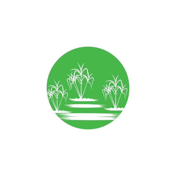 Icono de caña de azúcar Vector Diseño de ilustración Logo plantilla - Vector, imagen
