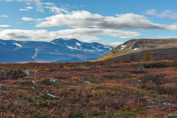 Mountains of Sarek National Park in Lapland, autumn, Sweden, selective focus - Fotografie, Obrázek
