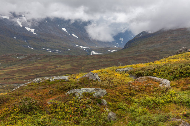 View of the valley. Northern Sweden, Sarek National Park in stormy weather in autumn. selective focus - Фото, зображення
