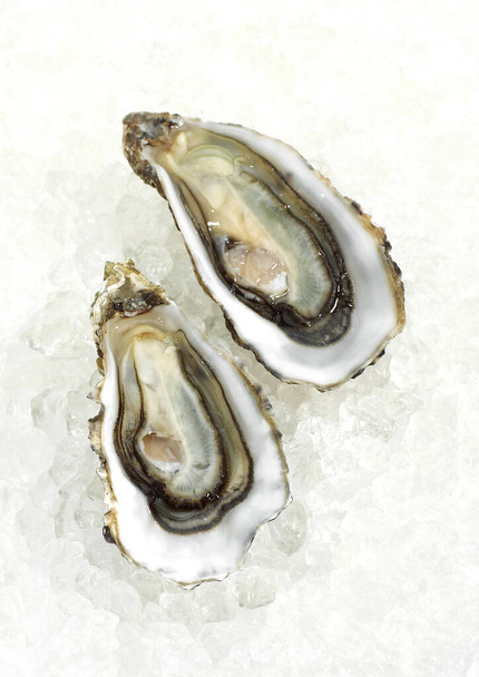 French Oyster called Marennes d'Oleron, Fresh Seafood on Ice   - Φωτογραφία, εικόνα