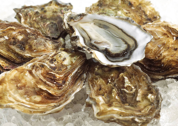 French Oyster called Marennes d'Oleron, Fresh Seafood on Ice   - Foto, Bild