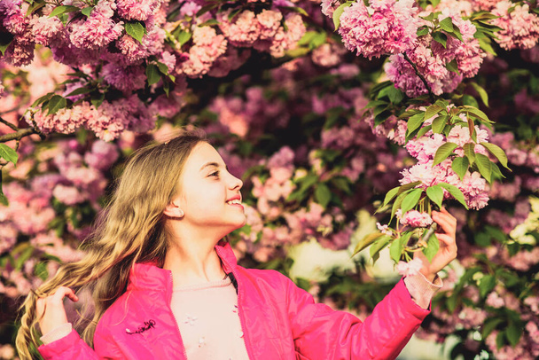 It is spring time.. Natural cosmetics for skin. small girl child in spring flower bloom. happy girl in cherry flower. Sakura tree blooming. blossom smell, allergy. summer. Childhood beauty - Foto, imagen