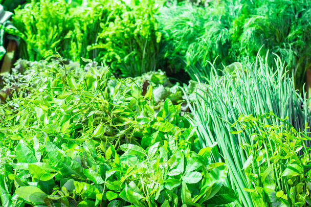Frische Bioprodukte, frisches Gemüse und Kräuter vom Bauernhof - Foto, Bild