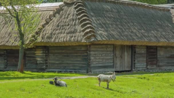 Lublin Υπαίθριο Μουσείο Village - Πλάνα, βίντεο