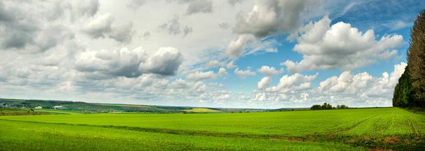 Vihreä kenttä sininen taivas pilvet
 - Valokuva, kuva