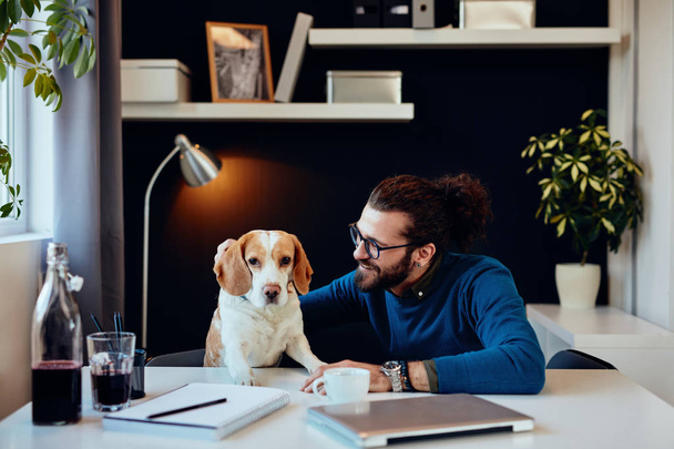 Cheerful smiling handsome caucasian man sitting in his office and playing with his dog. - Foto, Bild