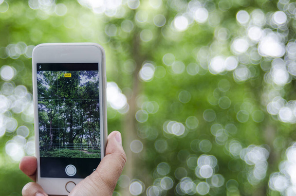 Handykamera schnappt Park-Natur auf verschwommenem Hintergrund  - Foto, Bild