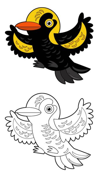 Cartoon sketch drawing australian animal bird bowerbird on white background illustration for children - Fotó, kép