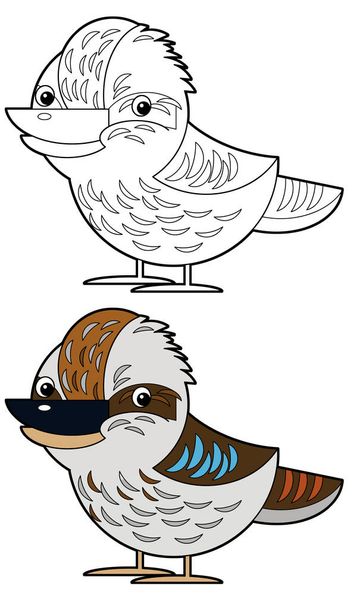 Cartoon sketch drawing australian animal bird kookaburra on white background illustration for children - Foto, imagen