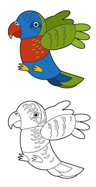 Cartoon sketch drawing australian animal bird parrot on white background illustration for children - Foto, imagen