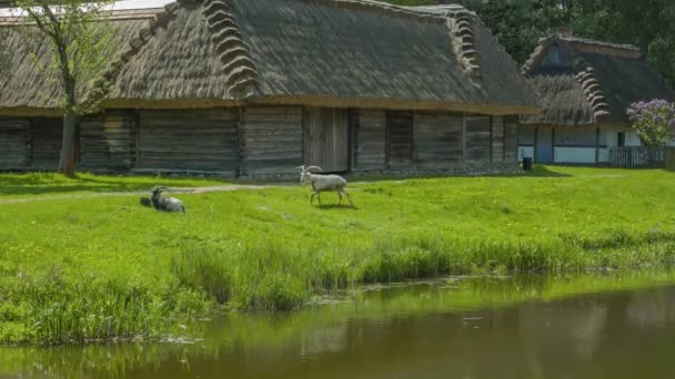 Lublin Υπαίθριο Μουσείο Village - Πλάνα, βίντεο