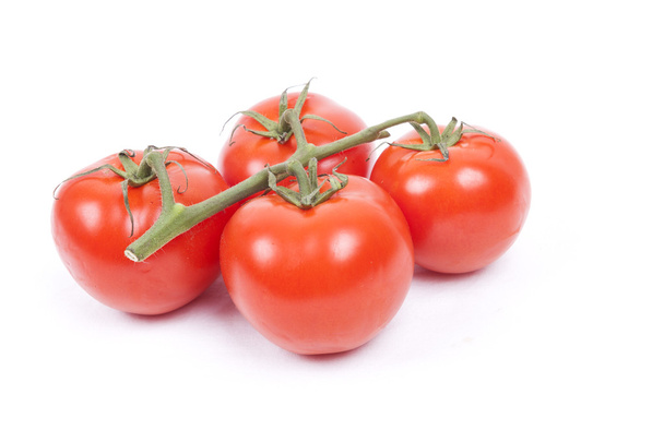 tomatos on a vine on a white background - Foto, immagini