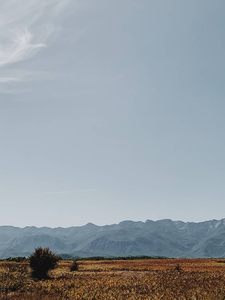 青空と生姜畑とカラフルな山の風景。自由旅行の冒険の概念。スペースのコピー.  - 写真・画像