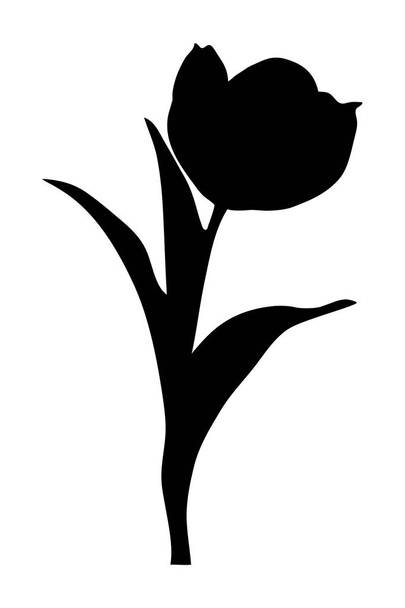 Tulip flower with three leaves - black silhouette illustration - isolated - Vector, Image