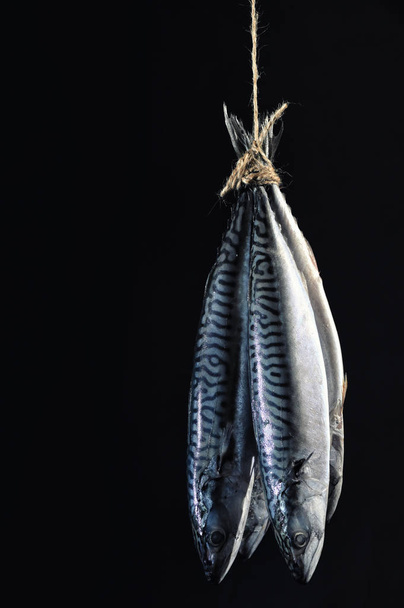 Smoked Mackerel Fish on Rope Isolated On Black Background - Foto, Imagen