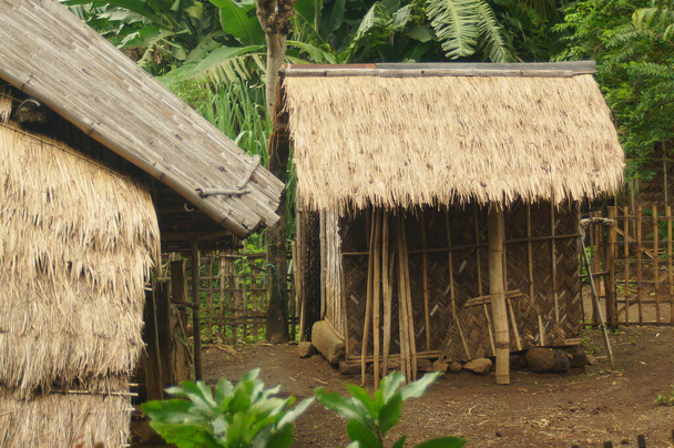 Маленька хатина це тимчасовий будинок з солом'яними дахами для укриття від сонця і дощу
 - Фото, зображення