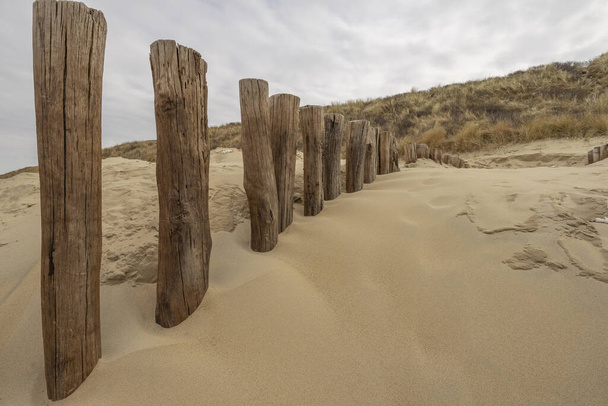 Pilhas de madeira na praia de Domburg com alguma neve na praia, bem como em dunas de grama / Países Baixos
 - Foto, Imagem