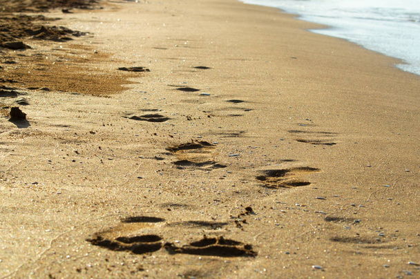 αποτύπωμα στην άμμο. Αποτύπωμα ποδιού στην παραλία - Φωτογραφία, εικόνα