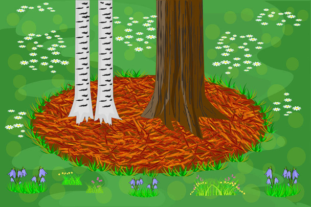 Mulch koncepcja ogrodnictwa z drzewami, czerwoną ściółką i trawą. Podstawa pnia drzew z ściółką i trawnikiem. Rolnictwo praca sezonowa na świeżym powietrzu. Mulczowanie roślin, ochrona gleby. Ściółka do projektowania krajobrazu. Wektor - Wektor, obraz