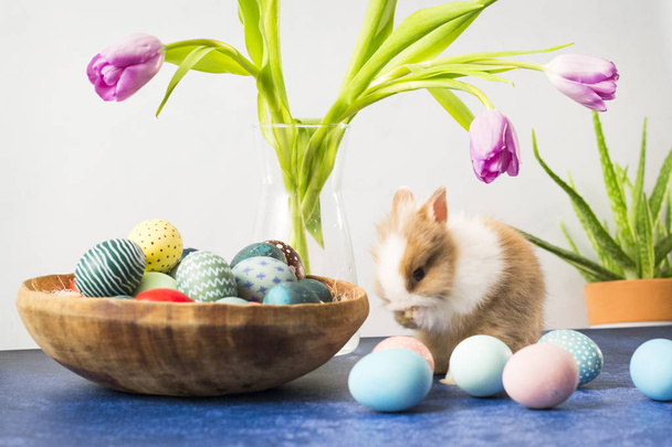 Easter bunny in basket with colorful eggs and tulips on wooden table. Easter holiday decorations, Easter concept background. - Photo, Image