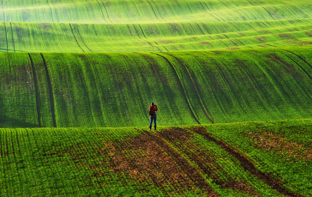 Sahadaki bir turist. Resimli tepe tarlası. Kırsal alan - Fotoğraf, Görsel
