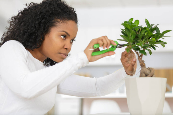woman cutting green leaves with scissors at home - Foto, Bild