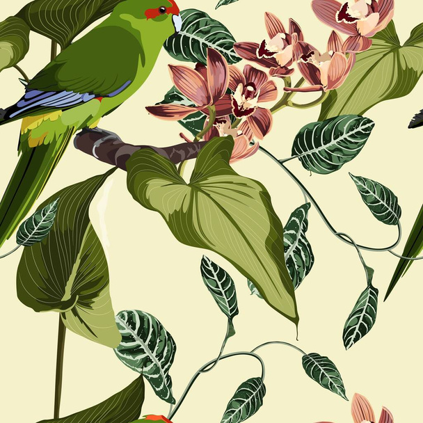 papegaai op naadloze bloemen patroon  - Vector, afbeelding