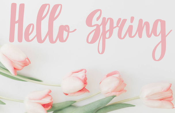 Hello spring. Hello spring text on pink tulips border on white background, floral greeting card. Stylish tender image. Handwritten lettering. Springtime poster - Photo, image
