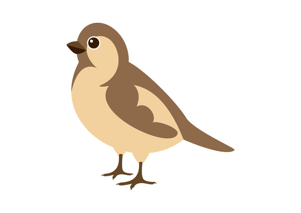 Sparrow bird vector. Cute brown sparrow cartoon character. Brown bird isolated on a white background - Vector, Image
