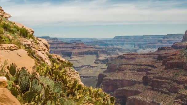 De landschappen van de Grand Canyon - Video