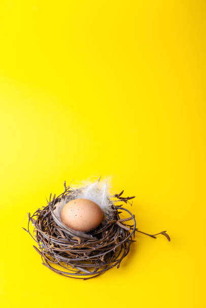Uovo di Pasqua in nido su sfondo giallo
 - Foto, immagini