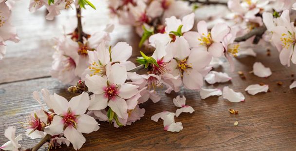 Mandula virágok fa asztal háttér, Közelkép. Tavaszi szezonális természetes dekoráció - Fotó, kép