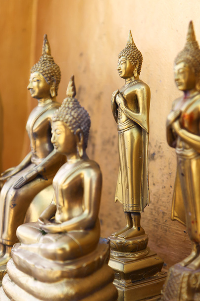 zlato stojí sochy Buddhy v chrámu wangvivagegaram, karnjana - Fotografie, Obrázek