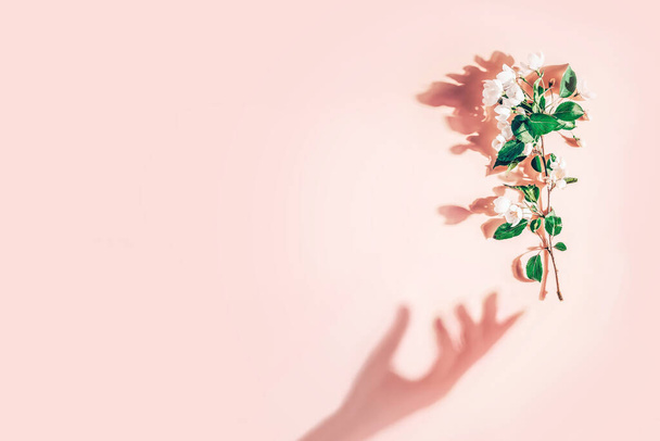 Diseño creativo con una rama de flores de manzana sobre un fondo rosa pastel. Acostado. Concepto mínimo primavera
 - Foto, Imagen