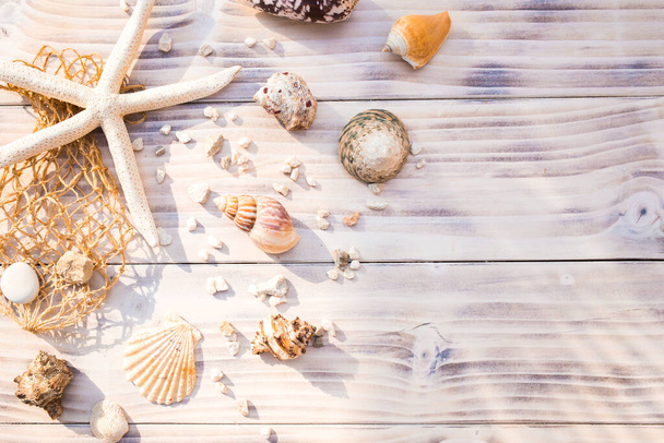 Starfish with sea shells on white wooden background. Summertime, vacation concept, - Zdjęcie, obraz