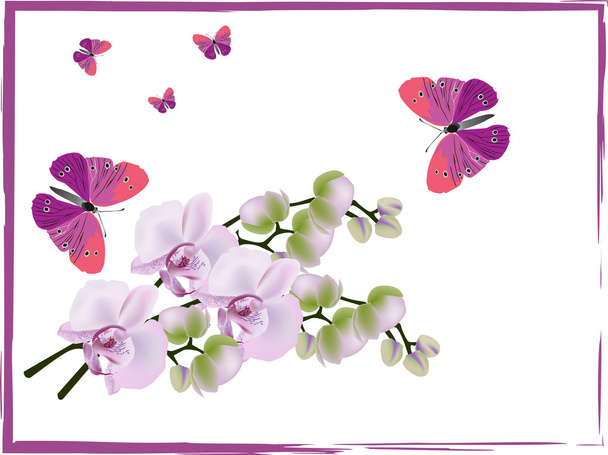 jasny różowy storczyki i ciemne motyle - Wektor, obraz