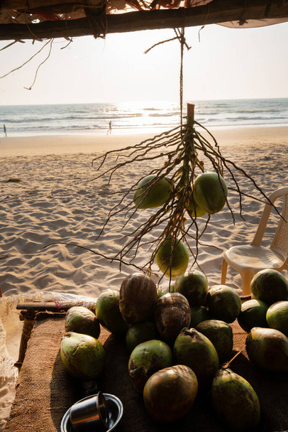 sale of coconuts on the main beach of Gokarna, Karnataka state India. - Zdjęcie, obraz