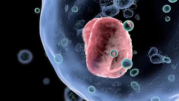 Buňky pod mikroskopem Buněčná divize Buněčná terapie - Záběry, video