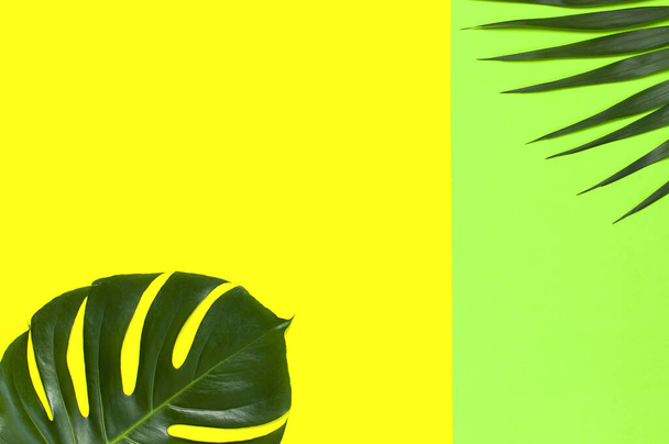Trooppiset palmunlehdet ja monsteranlehti pastellinkeltaisella vihreällä pohjalla. Tasainen lay, ylhäältä näkymä, kopioi tilaa. Kesätausta, luonto. Luova minimaalinen tausta trooppisia lehtiä. Lehtikuvio
. - Valokuva, kuva