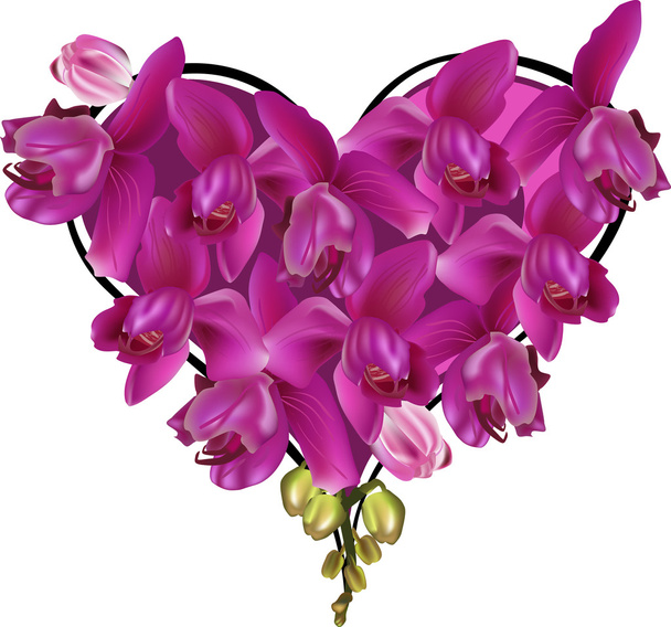 καρδιά σκούρο ροζ ορχιδέες - Διάνυσμα, εικόνα