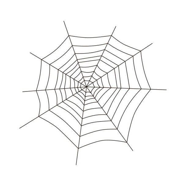 Spider web or cobweb. Vector illustration of cobweb. Vector illustration - Vector, Image
