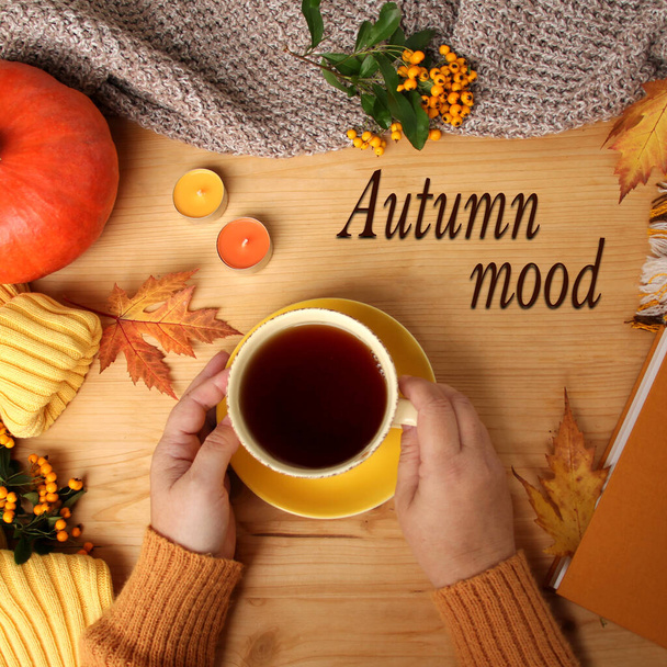 female hands holding a cup of hot tea or coffee, autumn flat in the Scandinavian hugg style, with yellow leaves, cozy knitwear, pumpkin and berries - Foto, afbeelding