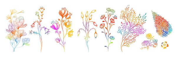 Un ensemble de fleurs sauvages. Illustration vectorielle - Vecteur, image